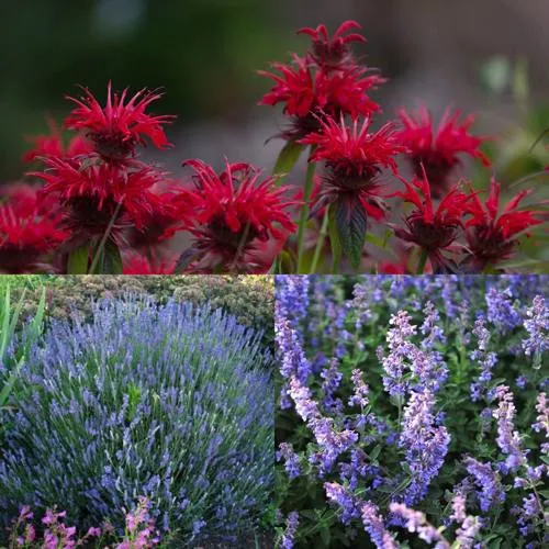 Комплект АРОМАТНЫЙ ЧАЙ в Москве