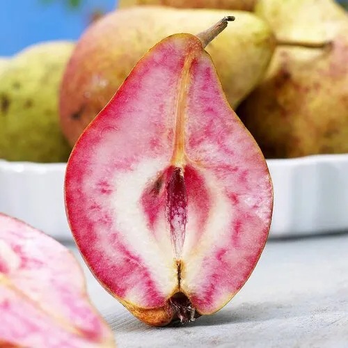 Груша БЛЮТБЕРН  Груша БЛЮТБЕРН в Москве