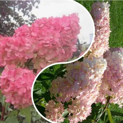 Комплект МНОГОГРАННОСТЬ в Москве