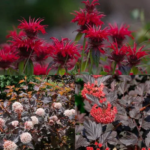 Комплект ОГНЕННЫЙ МИКС в Москве