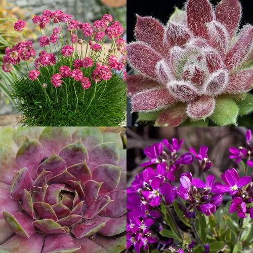 Комплект МИНИ САД в Москве