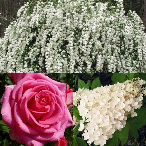 Комплект ВЕЧНАЯ КЛАССИКА в Москве