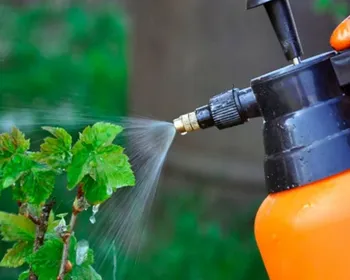 обработка крыжовника.png