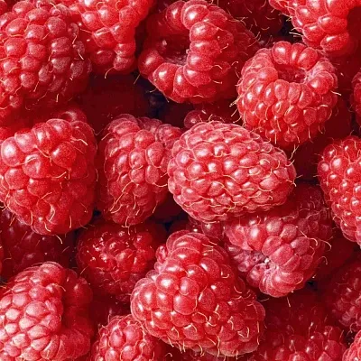 Летняя  Летняя в Москве