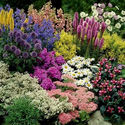 Травы  Травы в Москве